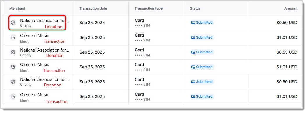 Image showing the statement line items for charity.